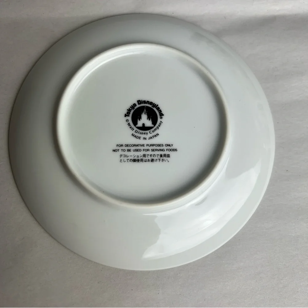 Tokyo Disneyland Decorative Plate Critter Country Splash Mountain Brer Fox